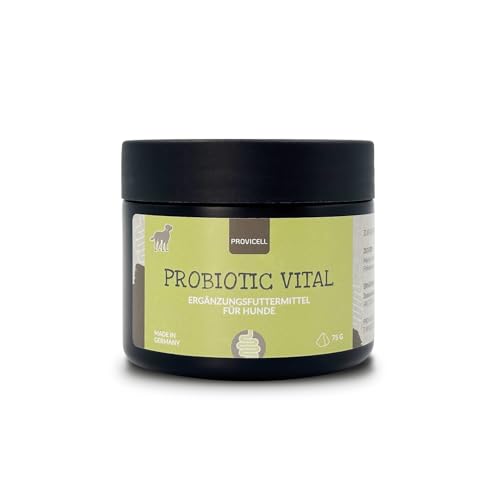 Provicell Probiotic Vital Hund | Probiotisches Ergänzungsfuttermittel mit Tierärzten in Deutschland entwickelt | 75 g Pulver | 1 Bakterienstamm für Hunde | Reich an Ballaststoffen Provicell Probiotic Vital Hund | Probiotisches Ergänzungsfuttermittel mit Tierärzten in Deutschland entwickelt | 75 g Pulver | 1 Bakterienstamm für Hunde | Reich an Ballaststoffen von Provicell