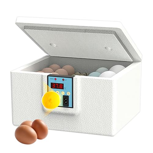 Proypiax Eier Inkubator, Enten Wärmekasten, Temperaturgesteuertes Brutgerät Mit Digitaler Anzeige Und Touch Bedienung Proypiax Eier Inkubator, Enten Wärmekasten, Temperaturgesteuertes Brutgerät Mit Digitaler Anzeige Und Touch Bedienung von Proypiax