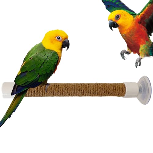 Proypiax Fensterbarsch für Vögel, Saugnapfbird Barsch - -Trainingsstand | Saugnapfbecher Spielzeugkäfig -Training tragbarer Barsch für Kakakakakatoo -Majaw -Sittichefensterspiegel Auto Bad Gebrauch von Proypiax