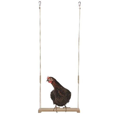 Proypiax Hühnerschaukel, Hühnerschaukel für Hühner - Hahn-Henne-Schaukelspielzeug - Hahn-Henne-Schaukelspielzeug, Huhn-Anreicherungs-Schaukelspielzeug für Geflügel-Hahn-Hühner-Küken-Haustier von Proypiax