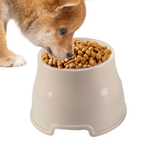 Proypiax Hundewasserschale, erhöhte Hundebereich - Katzenfutterschalen erhöht - Ergonomische Fütterung schützt die Stacheln der Haustiere für große mittelgroße Hunde Kätzchen Welpen Proypiax Hundewasserschale, erhöhte Hundebereich - Katzenfutterschalen erhöht - Ergonomische Fütterung schützt die Stacheln der Haustiere für große mittelgroße Hunde Kätzchen Welpen von Proypiax