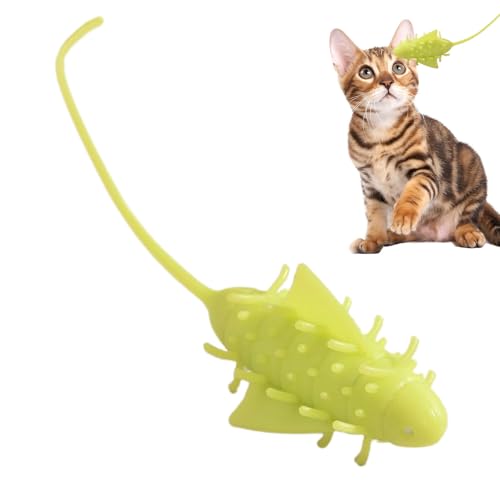 Proypiax Interaktives Katzenspielzeug | Elektrisches Kauspielzeug Für Kitten - Wiederaufladbares Realistisches Katzenspielzeug Zur Simulation Der Jagd Gegen Langeweile Und Förderung des Alleinspiels Proypiax Interaktives Katzenspielzeug | Elektrisches Kauspielzeug Für Kitten - Wiederaufladbares Realistisches Katzenspielzeug Zur Simulation Der Jagd Gegen Langeweile Und Förderung des Alleinspiels von Proypiax
