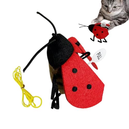 Proypiax Ladybug -Katzenspielzeug, Katzenpatzlea,Catnip Sound Cat Ladybug Toy - Eingebauter Schwingungssensor Kitten-Teaser für körperliche Aktivitäten hängen Proypiax Ladybug -Katzenspielzeug, Katzenpatzlea,Catnip Sound Cat Ladybug Toy - Eingebauter Schwingungssensor Kitten-Teaser für körperliche Aktivitäten hängen von Proypiax