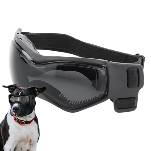 Proypiax UV-Schutzbrille für Hunde, kleine Hundebrillen | UV-Schutz-Haustierbrille | PC Lenses Hunde-Augenschutz-Tool für Partys, Alltagsaktivitäten, Reisen, Fotos Proypiax UV-Schutzbrille für Hunde, kleine Hundebrillen | UV-Schutz-Haustierbrille | PC Lenses Hunde-Augenschutz-Tool für Partys, Alltagsaktivitäten, Reisen, Fotos von Proypiax