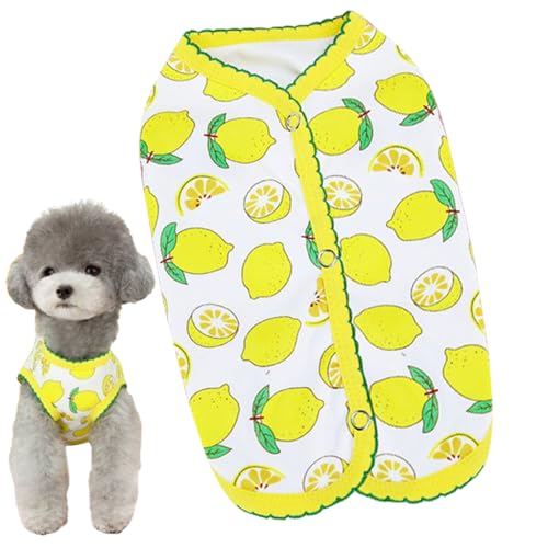 Sommer-Hunde-Shirts Für Kleine Hunde Gestreifte Atmungsaktive Weste T-Shirts Weiche Baumwolle Welpen Kleidung Sweatshirt Sommer Mädchen Mode Strandkleidung Kleine Und Katzen Sommer-Hunde-Shirts Für Kleine Hunde Gestreifte Atmungsaktive Weste T-Shirts Weiche Baumwolle Welpen Kleidung Sweatshirt Sommer Mädchen Mode Strandkleidung Kleine Und Katzen von Proypiax