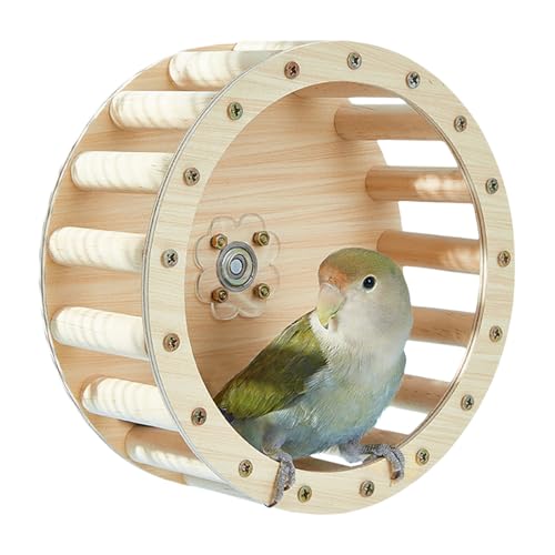 Pruojhw Spielzeug Für Papageien, Vogels Laufrad Spielzeug, Holzspielzeug Zur Interaktion Und Intelligenzförderung Für Sittiche Und Nymphensittiche Pruojhw Spielzeug Für Papageien, Vogels Laufrad Spielzeug, Holzspielzeug Zur Interaktion Und Intelligenzförderung Für Sittiche Und Nymphensittiche von Pruojhw