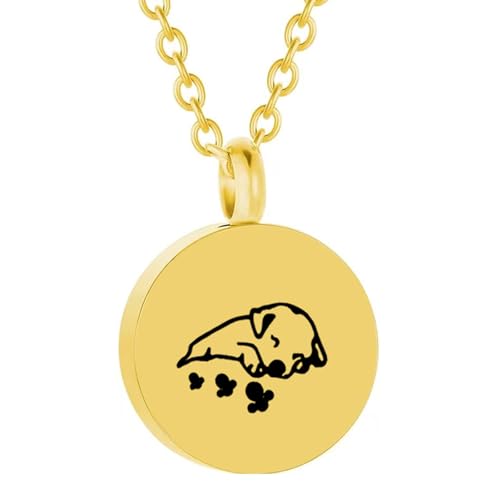 Psdndeww Gedenkurnen-Urnen-Schmuck, Haustier-Asche-Halskette, kreativer Haustier-Urnen-Schmuck, Urnen-Halskette Psdndeww Gedenkurnen-Urnen-Schmuck, Haustier-Asche-Halskette, kreativer Haustier-Urnen-Schmuck, Urnen-Halskette von Psdndeww