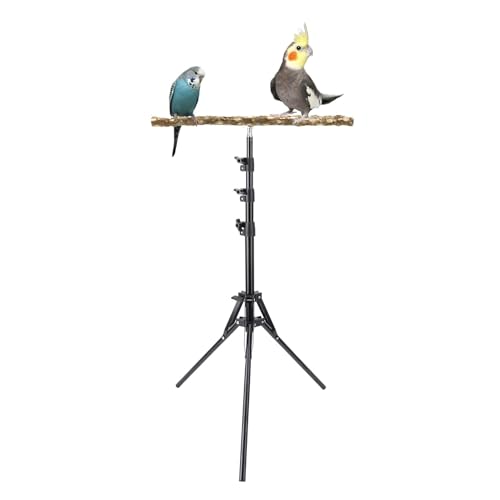 61.81in -Papageien Barsch Ständer, 3 Getriebehöhe Einstellbare Robuste Handwerkskunst Multifunktionales Vogeltraining Barsch Ständer für Vögel Im Innenbereich Im Freien Im Freien 61.81in -Papageien Barsch Ständer, 3 Getriebehöhe Einstellbare Robuste Handwerkskunst Multifunktionales Vogeltraining Barsch Ständer für Vögel Im Innenbereich Im Freien Im Freien von Pssopp