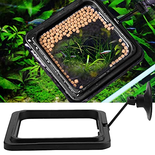 Aquarien Feeding Station Fisch Fütterung Station Aquarium Feeder Ring Aquarium Schwimm futterkreis Umweltfreundliche Fischfutterautomat Aquarium Betta Fischfutterstation mit Saugnapf (Quadratisch) von Pssopp