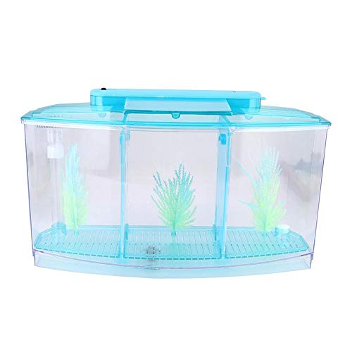 Aquarium Isolation Box Acryl Fisch Isolation Box Fischzuchtbehälter Multifunktionale Zucht Inkubator Box Aquarium Ablaichkasten für Fischzucht Aquarium(blau) von Pssopp