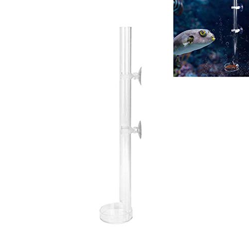 Feeder Tube und Platte für Garnelenfische Acryl Transparent Durable Aquarium Crystal Shrimp Feeder Aquarium Ernährungssonde(32cm) von Pssopp