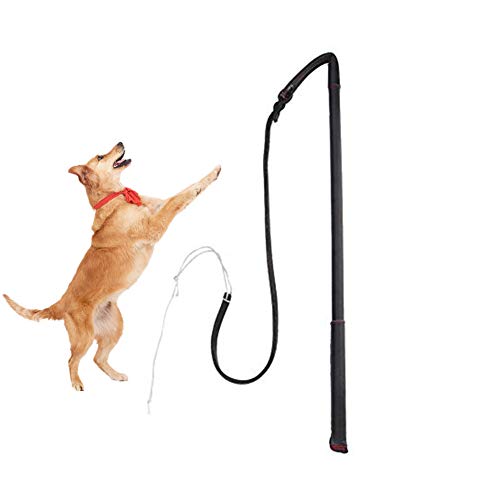 Hundetraining Peitsche Hund Agitation Peitsche Hund Teaser Zauberstab Hund Teaser Zauberstab Spielen im Freien zum Ziehen, Jagen, Kauen, Necken, Training Hundetraining Peitsche Hund Agitation Peitsche Hund Teaser Zauberstab Hund Teaser Zauberstab Spielen im Freien zum Ziehen, Jagen, Kauen, Necken, Training von Pssopp