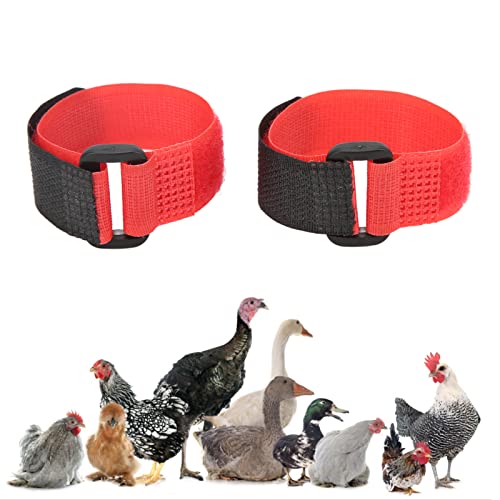 Nocrow Hahnhalsband, 2 Stück, Hühnerhalsband, Nylongürtel, Verstellbares Hahnhalsband für Haustierhähne, Verhindert das Krähen von Hühnern (Rot) von Pssopp