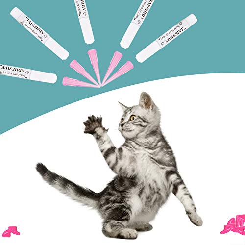 Pssopp 100 PCS Set Cat Nagel Deckungsklauenkappen Glitzer, Langlebiges PVC -Material, Verhindern Sie Kratzen von Möbeln, Pflegezubehör für Katzen, Vier Größen Erhältlich, Rose Rot für Katzen, (L) Pssopp 100 PCS Set Cat Nagel Deckungsklauenkappen Glitzer, Langlebiges PVC -Material, Verhindern Sie Kratzen von Möbeln, Pflegezubehör für Katzen, Vier Größen Erhältlich, Rose Rot für Katzen, (L) von Pssopp