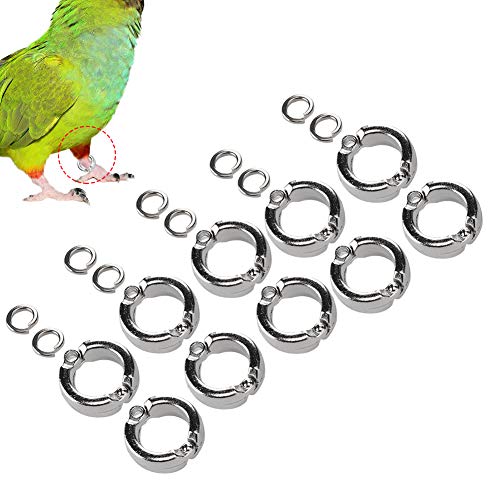 Pssopp 10pcs Papageien Training Fußringe, Metallbeinringe Öffnen von Clips Accessoires Mehrere Größen Verfügbar und Praktisch mit Einfachen Designvogelversorgung für Vogelkäfig (17,5 mm von Pssopp