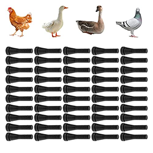 Pssopp 50 Stück Geflügel Zupffinger Gummi Haarentfernungsstab Zupfer Hühner Zupfer Zupfer Entfernungs Zupfmaschine für Huhn Enten Huhn Wachteln Pssopp 50 Stück Geflügel Zupffinger Gummi Haarentfernungsstab Zupfer Hühner Zupfer Zupfer Entfernungs Zupfmaschine für Huhn Enten Huhn Wachteln von Pssopp