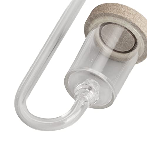 Pssopp Aquarium CO2 Diffusor Acryl Aquarium Kohlendioxid Transparenter Blasenzähler mit Saugnapf für Aquarienpflanzen L Pssopp Aquarium CO2 Diffusor Acryl Aquarium Kohlendioxid Transparenter Blasenzähler mit Saugnapf für Aquarienpflanzen L von Pssopp