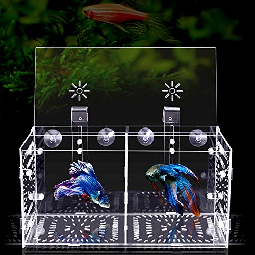 Pssopp Aquarium Zuchtbox Fischsämlinge Inkubator Aquarium Isolationsbox Aquarium Brutbrut Fischteiler Fischbrut Inkubator mit Isolationsbrett(30CM*15CM*15CM) von Pssopp