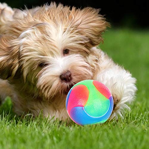 Pssopp Fdit Bissresistenter Spielzeugball Resistenter Schleifzahn Pädagogisches Spielzeug Hund Behandeln Spielzeugball für Hunde Hunde Welpentraining Schwimmen Spielen Laufen von Pssopp
