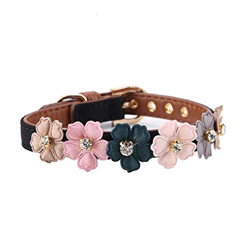Hundehalsband Fashion Flower Dekor Halsband Einstellbare Daisy Blumen Haustier Kragen PU Leder Hund Halsbänder für kleine Katze Hund(1.3 * 42cm-Schwarz) von Pssopp