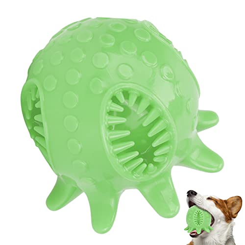 Pssopp Hundespielzeug Ball Krakenform Hundezähne Reinigung Kauball Tierfutterspender Quietschende Zahnbürste Biss Spielzeug[Grün] Bälle von Pssopp
