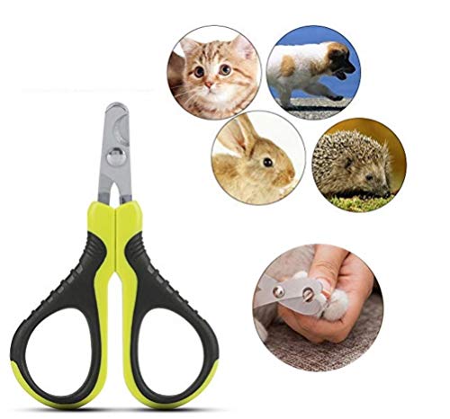 Krallenschere Katzen Hund Krallenzange Haustier Nagelknipser Tragbare Professionelle Klaue Schere Trimmer Grinder Cutter für Nager Katzen Hunde Welpen, Katzen, Hasen und Meerschweinchen von Smandy