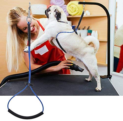 Tierpflegetisch Halftergeschirre Hundepflege Zurückhaltung Seil Hundesalon Tischgeschirr Single Noose Hundesalon Schleife Stahldraht Hundesalon Werkzeuge Halter für Hundesalon Tisch und Arm von Pssopp
