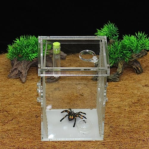 Pssopp Reptilienzucht Box Acryl Insekten Fütterungsbox Transparent Reptilien Zucht Brut Terrarium für Reptilien Amphibien Insekt (L 9,8 Zoll) von Pssopp