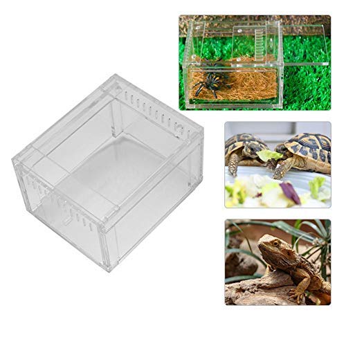 Terrarium Insektenbox Acryl Transparent Reptilienzuchtbox Reptilien Reptilienbehälter Fütterungsbox Insektenboxen für Reptilien Amphibien Insekten Terrarium Insektenbox Acryl Transparent Reptilienzuchtbox Reptilien Reptilienbehälter Fütterungsbox Insektenboxen für Reptilien Amphibien Insekten von Pssopp