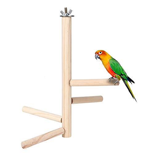 Vogel Barsch Naturholz Ständer Spielzeug Vogelkäfig Ständer Plattform Papagei Trainingsständer Pfote Schleifstock für 3-4 Stück Kleine Mittlere Papageien Vogel Barsch Naturholz Ständer Spielzeug Vogelkäfig Ständer Plattform Papagei Trainingsständer Pfote Schleifstock für 3-4 Stück Kleine Mittlere Papageien von Pssopp
