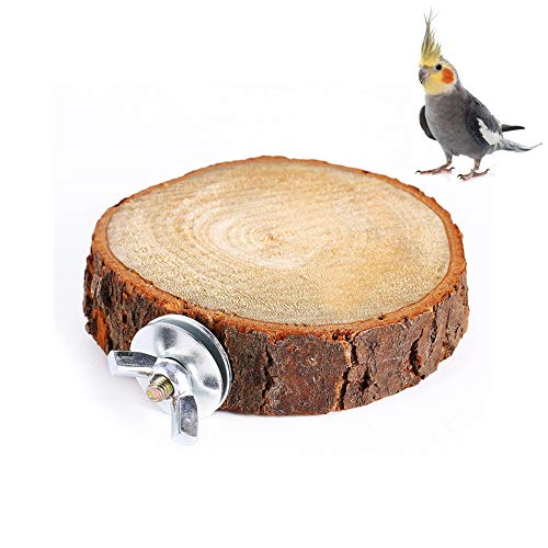 Papagei Holz Ständer Runde Vögel Barsch Papagei Spielplatz Plattform Pfote Schleifen Spielzeug Käfig Zubehör für Haustier Wellensittich Kakadu Sittich Nymphensittich Conure Hamster Rennmaus von Pssopp