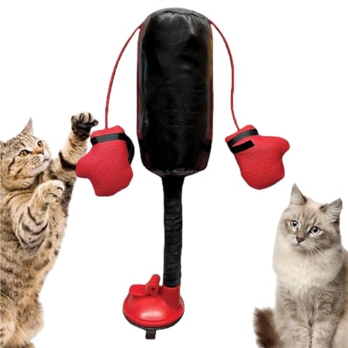 Psyfwznkny Katzen-Boxsack-Spielzeug, kreatives interaktives Kätzchen-Spielzeug für Spielen, Boxsack-Katzenminze-Spielzeug für Bewegung und Langeweile, Haustier-Übungsspielzeug für drinnen und draußen von Psyfwznkny