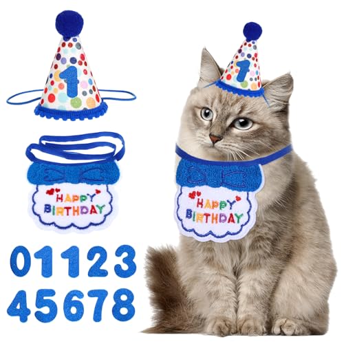 Bandana für Katzen und Kätzchen, mit Zahl, Haustier-Geburtstagsdekorationen, Outfits, Bandanas, Fliege für Katzen, Hunde, Welpen, Geburtstag, Bandana-Hut Bandana für Katzen und Kätzchen, mit Zahl, Haustier-Geburtstagsdekorationen, Outfits, Bandanas, Fliege für Katzen, Hunde, Welpen, Geburtstag, Bandana-Hut von Psyqtsuary