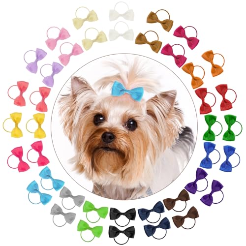 Haarschleifen für Welpen, Hunde, kleine Schleife, mit Gummiband, handgefertigt, Haar-Accessoires, kleine Schleife, Haarschleifen für Katzen, Welpen, Party, Geburtstag, verschiedene Farben, 40 Stück Haarschleifen für Welpen, Hunde, kleine Schleife, mit Gummiband, handgefertigt, Haar-Accessoires, kleine Schleife, Haarschleifen für Katzen, Welpen, Party, Geburtstag, verschiedene Farben, 40 Stück von Psyqtsuary