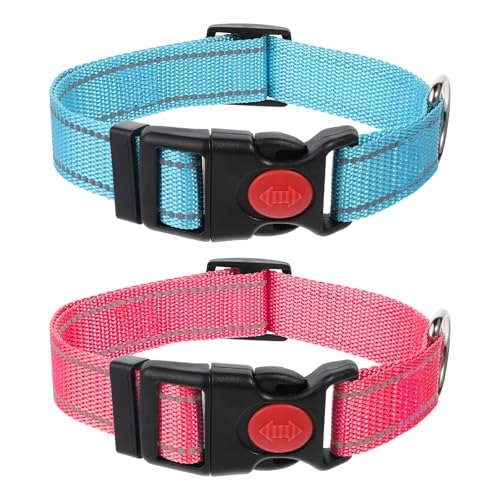 Ptwola 2er-Pack Reflektierend Hundehalsband Bequemes Nylon Verstellbare Hunde Halsband mittelgroße Große Haustierhalsbänder für Kleine Rassen mit Sicherheitsverriegelung verstellbar 35,5–40 cm Ptwola 2er-Pack Reflektierend Hundehalsband Bequemes Nylon Verstellbare Hunde Halsband mittelgroße Große Haustierhalsbänder für Kleine Rassen mit Sicherheitsverriegelung verstellbar 35,5–40 cm von Ptwola