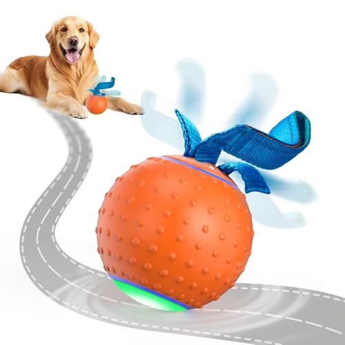 Interaktives Hundespielzeug, bewegungsaktivierter Hundeball, automatisches Rollball, Spielzeug für Welpen / kleine Hunde von Pubialo