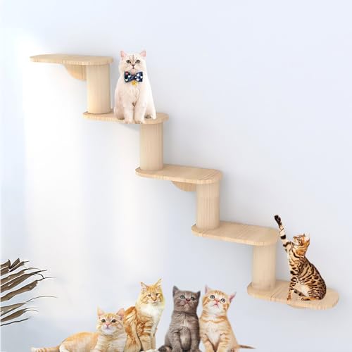 Pucaru Katzen Kletterwand für den Innenbereich, Katze Wandelement, Katzennest, Lufthängebrücke, Sprungplattform, Raumkapsel (Color : S2) von Pucaru