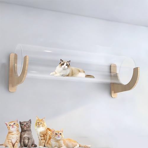 Katzenwandparkour, Moderne Wandmontierte Katzenmöbel, Katzenkletterwand, Katze Wandelement, DIY-Decken- Und Wandkombinationsset, Platzsparend(Size:S16) von Pucaru