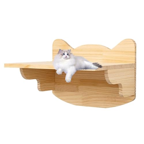 Katzenwandregal, Katzen Kletterwand，Katzenhaus, 1 Packung, Frei Kombinierbar, Und Schlafen Geeignet(39 * 29 * 32.5cm) von Pucaru