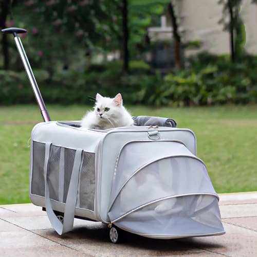 Pucaru Abnehmbare Transportbox für Haustiere, Zweiseitig Erweiterbarer Rolltransporter, Doppelfach für 2 Haustiere, Konzipiert für Hunde und Katzen von Pucaru