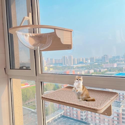 Pucaru Dreiteiliges Katzenmöbel Zur Wandmontage, Katzenwandregal, Katzen Kletterwand Schlagfreies Katzenklettergerüst Aus Holz für Den Innenbereich(40 * 12cm) von Pucaru