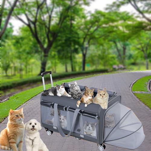 Pucaru Erweiterbarer Outdoor-Transportwagen für Haustiere, Zusammenklappbarer Katzen-/Hundetransporter mit Rädern, 6 Sätze Doppelreihiger Räder, Doppelfach von Pucaru