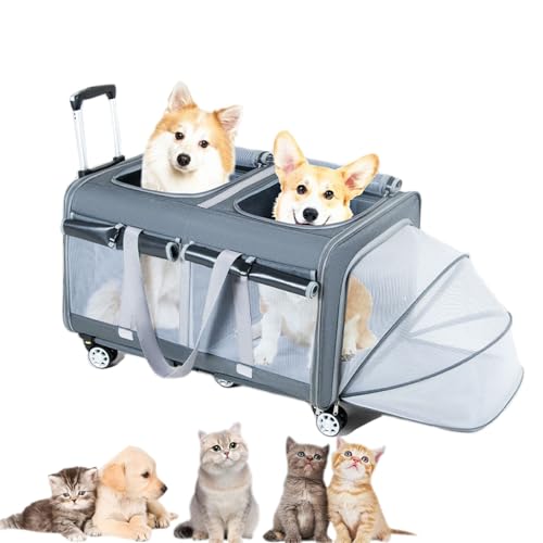 Pucaru Großer Haustier-Trolley, Transportbox Katze, Transportbox Hund, Extra Großes Fassungsvermögen, für Reisen mit Mehreren Haustieren von Pucaru