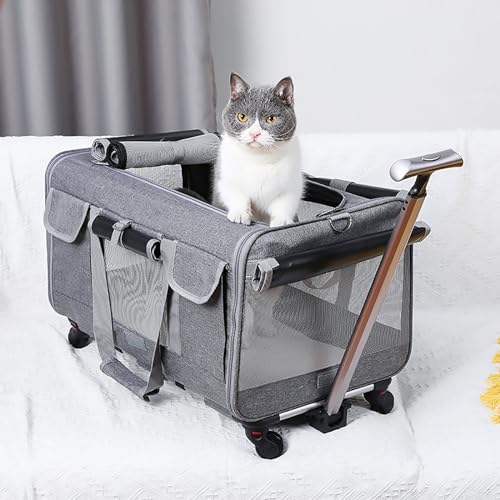Pucaru Haustierrucksack mit Großem Fassungsvermögen, Katzentransporttasche, Transportbox Hund, mit Teleskopgriff und Abnehmbaren Rädern von Pucaru