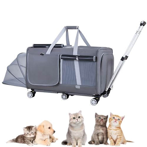 Pucaru Haustiertransporter mit Rädern, Fließheck-Haustier-Trolleybox, Tragbare Katzentasche mit Großem Fassungsvermögen für Ausflüge (Color : Star Gray, Size : A) von Pucaru