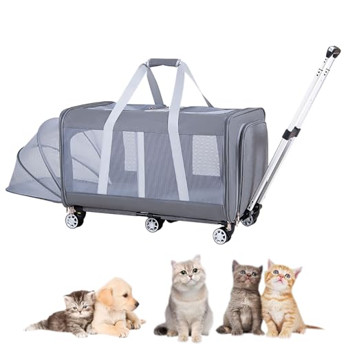 Pucaru Haustiertransporter mit Rädern, Fließheck-Haustier-Trolleybox, Tragbare Katzentasche mit Großem Fassungsvermögen für Ausflüge (Color : Star Gray, Size : B) von Pucaru