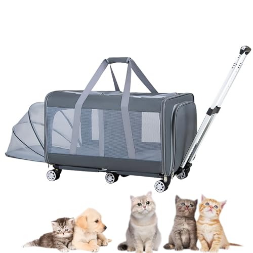 Pucaru Haustiertransporter mit Rädern, Fließheck-Haustier-Trolleybox, Tragbare Katzentasche mit Großem Fassungsvermögen für Ausflüge (Color : Wolf Smoke Gray, Size : B) von Pucaru