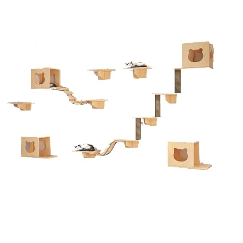 Pucaru Katzen Kletterwand ，Katzenwand-Klettergerüst-Set, Massivholz Und Stabiler Rahmen für Große Katzen Und Kätzchen(12pcs) von Pucaru