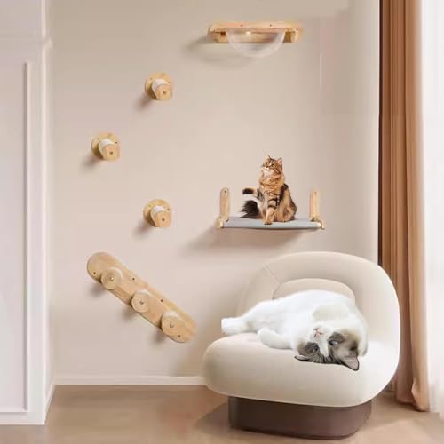 Pucaru Katzen-Wandregal-Set, Katzensitz, Kletterwand Katzen Wandmöbel Zum Schlafen, Spielen, Klettern Und Ausruhen(5pcs) von Pucaru
