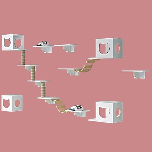 Pucaru Katzenwandmöbel Aus Holz, Kletterwand Katzen, Wandmontierte Häuser und Sitzstangen, Geeignet für Die Meisten Kätzchen und Erwachsenen Katzen(12pcs) von Pucaru